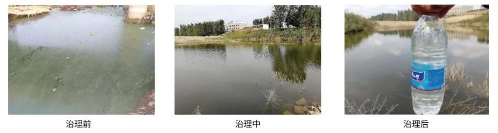 環保科技篇?治水先治泥？不，我們泥水共治！-