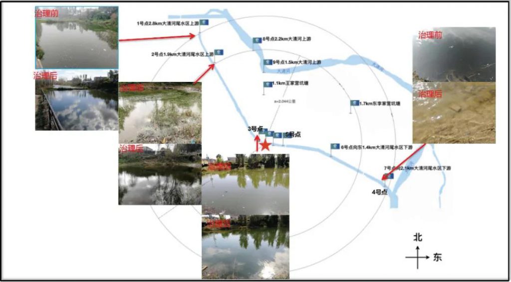 環保科技篇?治水先治泥？不，我們泥水共治！-