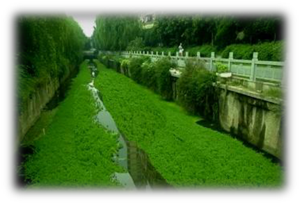 我國水生態(tài)環(huán)境修復(fù)現(xiàn)狀分析解讀(下)- 我國水生態(tài)環(huán)境修復(fù)現(xiàn)狀分析解讀(下)-