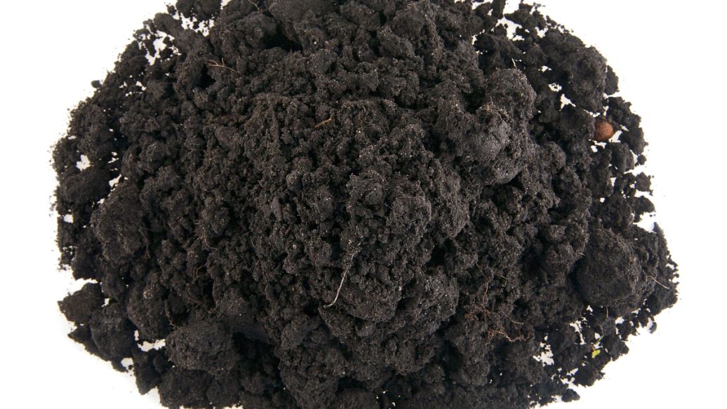 關(guān)于cod你了解多少？