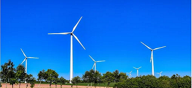 “兩高”項目盲目發展有哪些表現？看中央生態環保督察怎么說