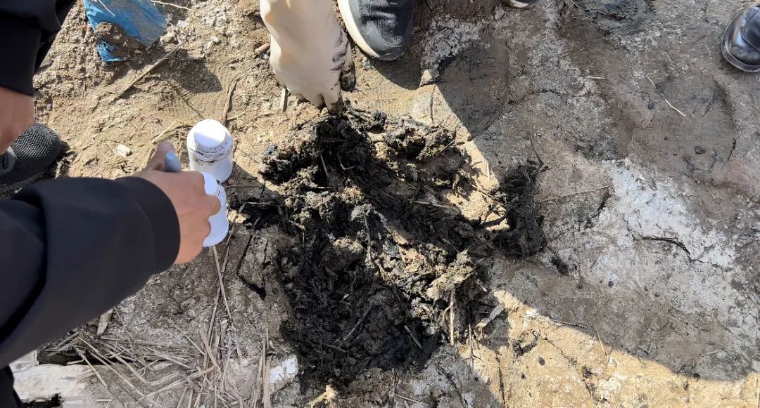 消失的污泥去哪兒了？-