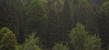 環境部答復“建議國家加大對固體廢物處理技術和專項設備的研發投入，增加專業處理機構的數量”的建議