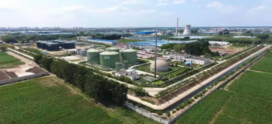 將“碳”進行到底！農業農村減排固碳“加速中”